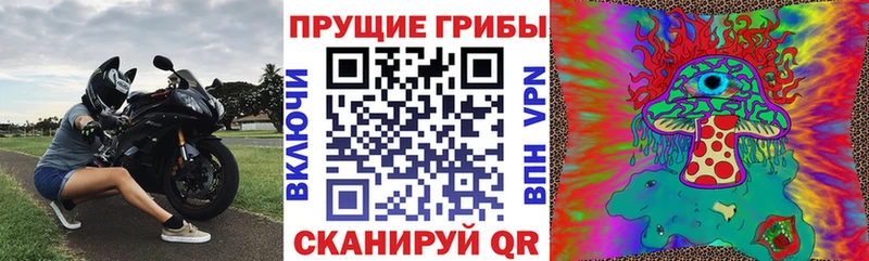 где купить наркоту  Сорск  Псилоцибиновые грибы мухоморы 